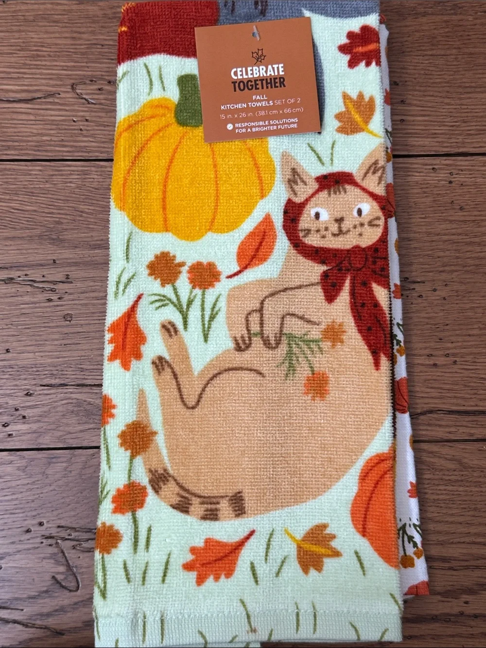 Celebrate Together Fall Kitchen Towels Set - Orange Pumpkin & Cat